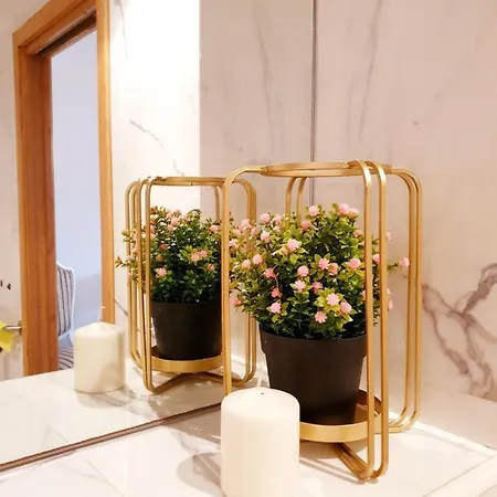 Πανσιόν Paloma - *