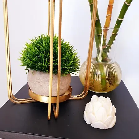 Πανσιόν Paloma - Oiartzun