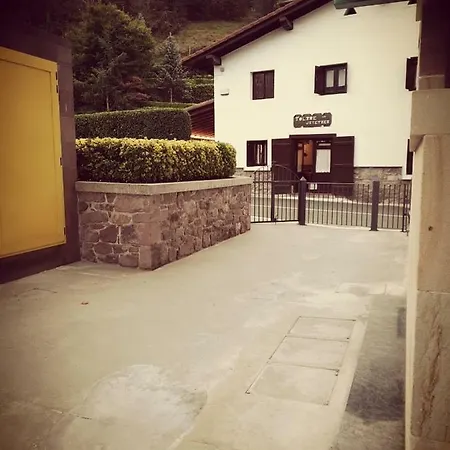 Paloma - Oiartzun