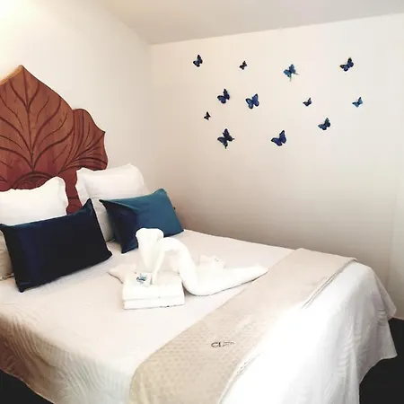 Paloma - オイアルツン