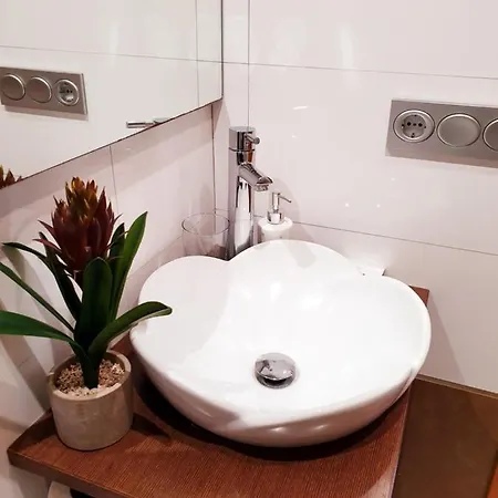 Paloma - オイアルツン