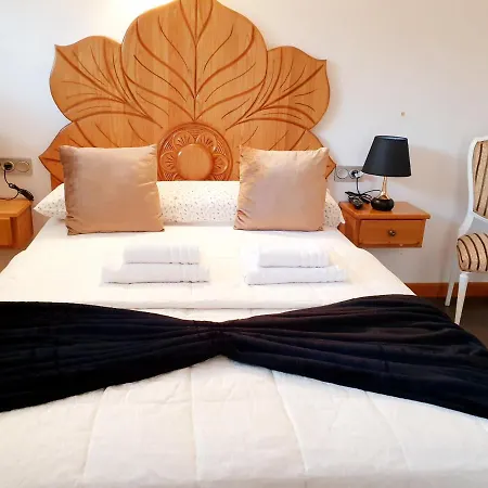 Paloma - オイアルツン