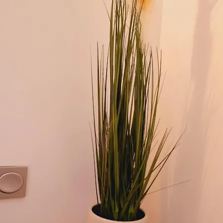 ゲストハウス Paloma - オイアルツン