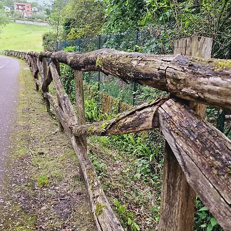 ゲストハウス Paloma - *